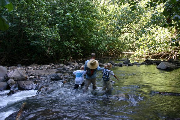 One of many river crossings on the way to the waterfall